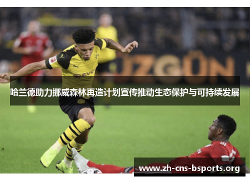 哈兰德助力挪威森林再造计划宣传推动生态保护与可持续发展 哈兰德助力挪威森林再造计划宣传推动生态保护与可持续发展