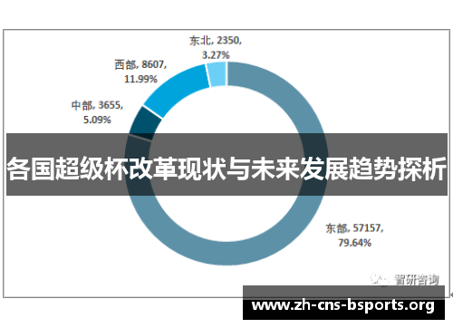 各国超级杯改革现状与未来发展趋势探析 各国超级杯改革现状与未来发展趋势探析