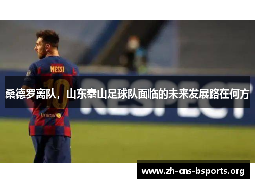 桑德罗离队,山东泰山足球队面临的未来发展路在何方 桑德罗离队,山东泰山足球队面临的未来发展路在何方