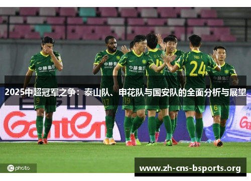 2025中超冠军之争:泰山队、申花队与国安队的全面分析与展望 2025中超冠军之争:泰山队、申花队与国安队的全面分析与展望